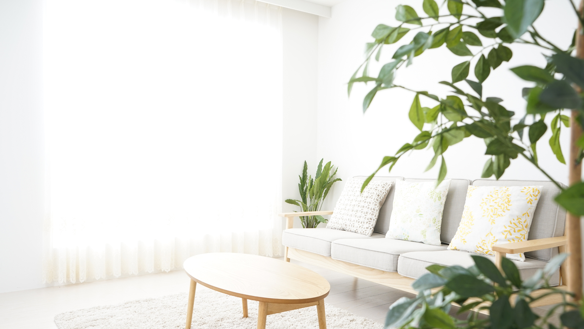 Bright, decluttered living room with a pale linen sofa, wooden coffee table and fresh green plants