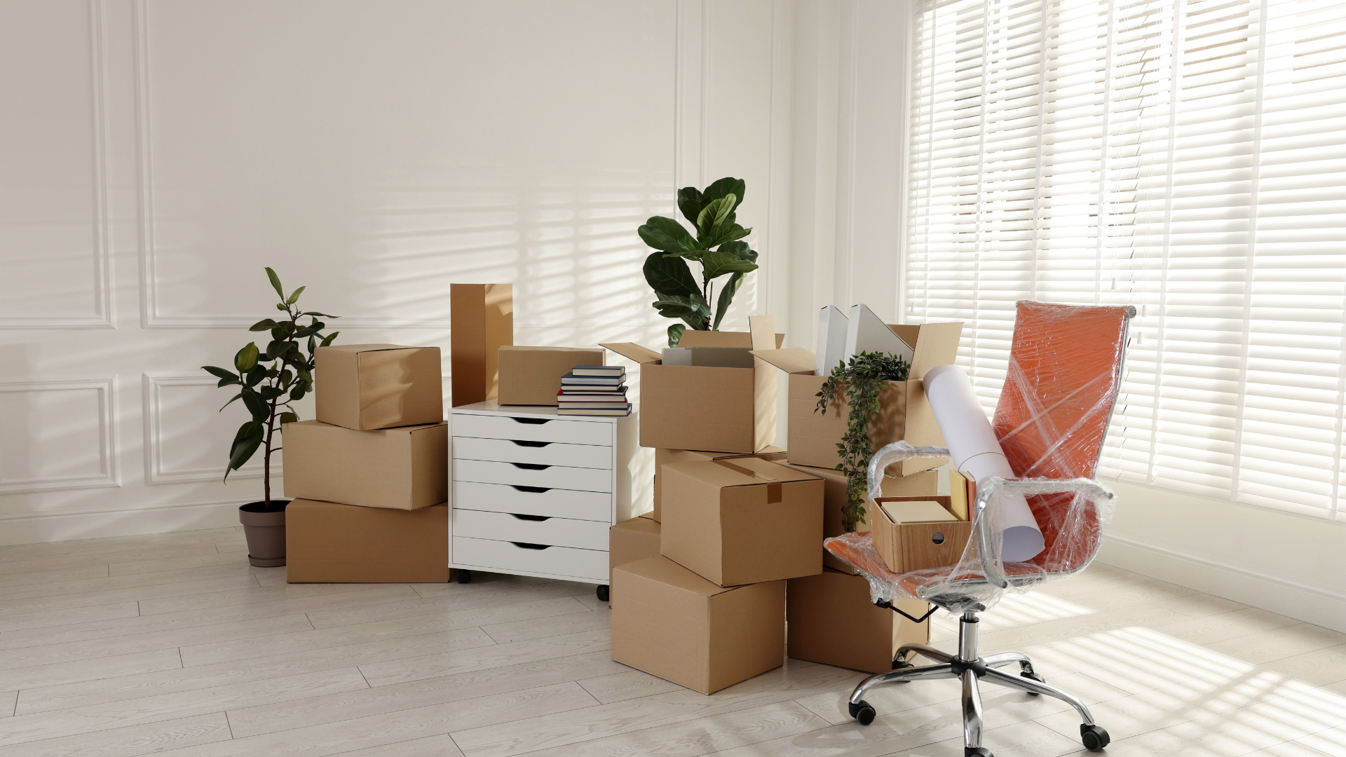 Bright room mid-move with stacked cardboard moving boxes, wrapped office chair and houseplants